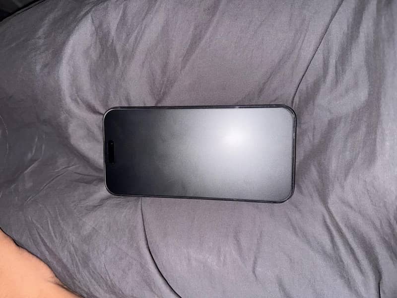 Apple iPhone 14 Pro Max 2