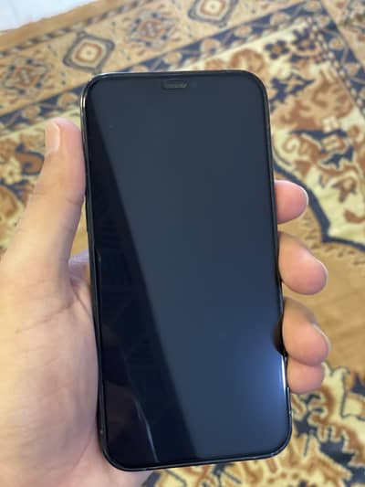 Apple iPhone 12 Pro PTA approved