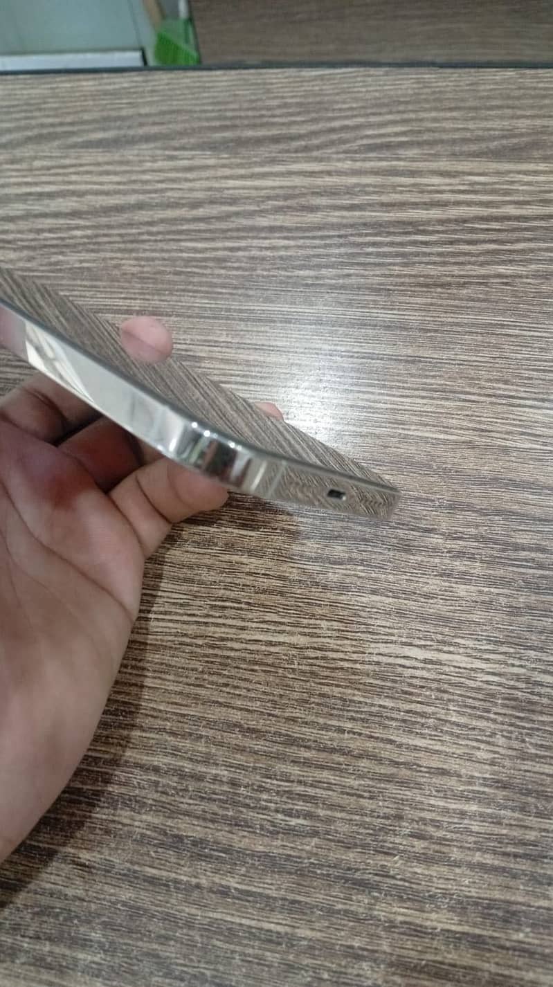 Apple iPhone 13 Pro Max 1