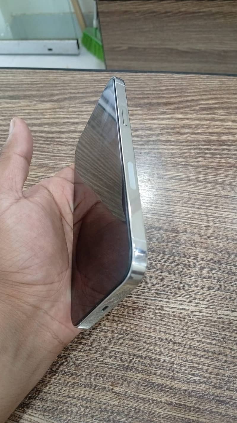 Apple iPhone 13 Pro Max 2