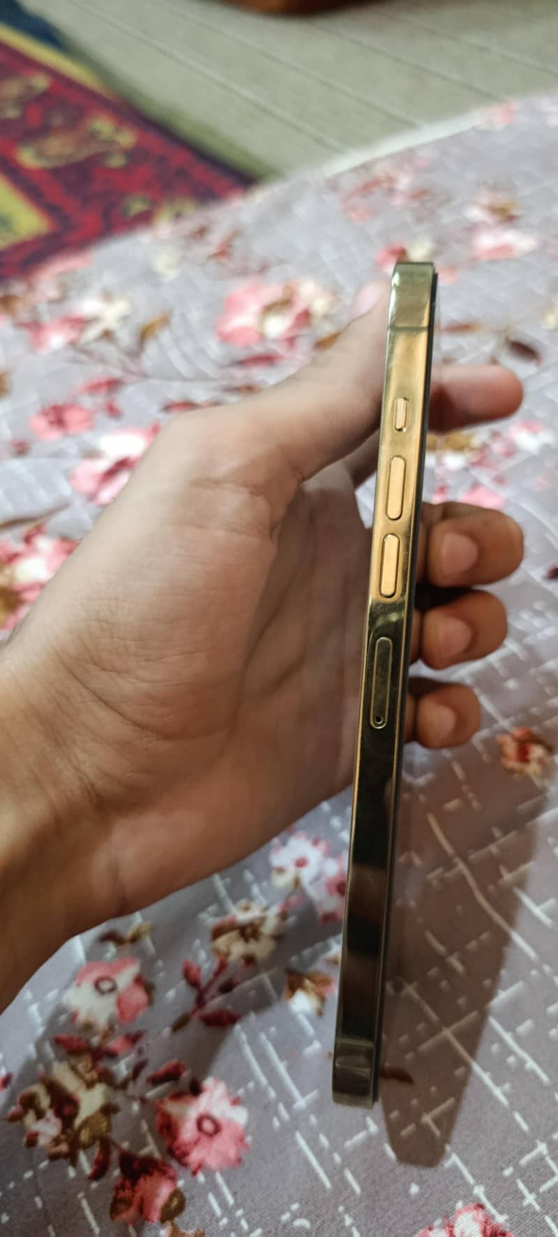 Apple iPhone 13 Pro Max 2