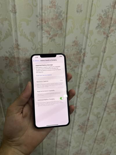 Apple iPhone XS Max hk dual sim pta