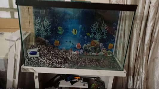 Aquarium