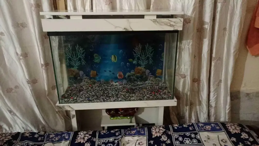 Aquarium — photo 2
