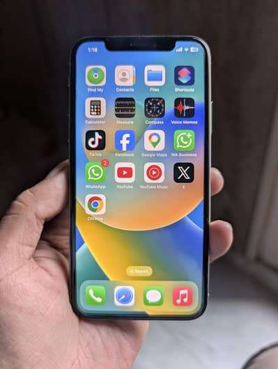 Apple iPhone X 256GB