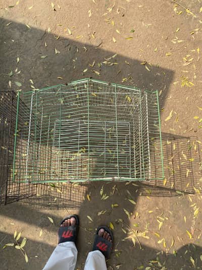 Parrot pinjre Argent sale