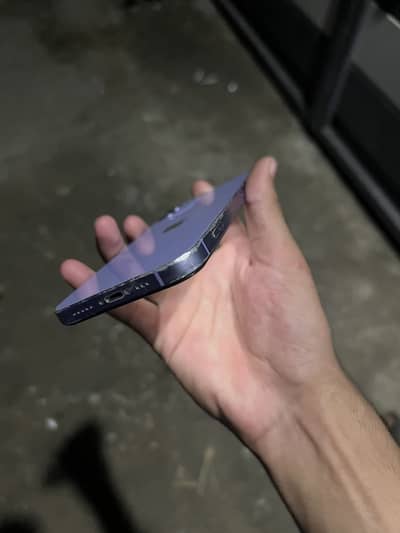 Apple iPhone 12