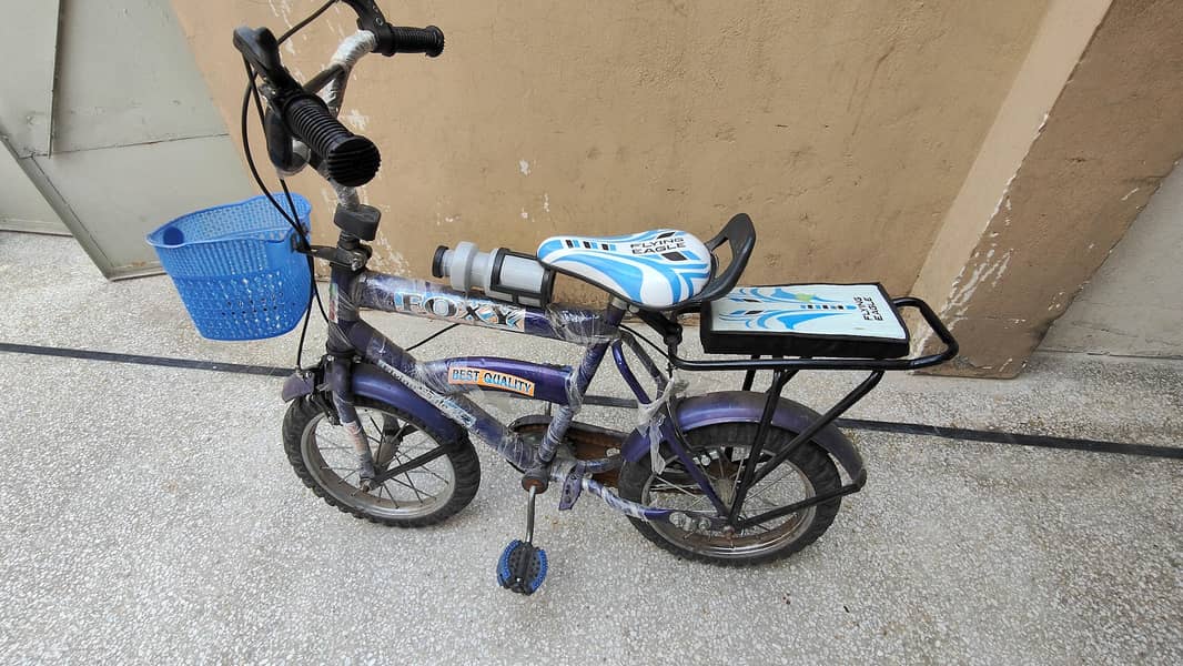 bicycle 1