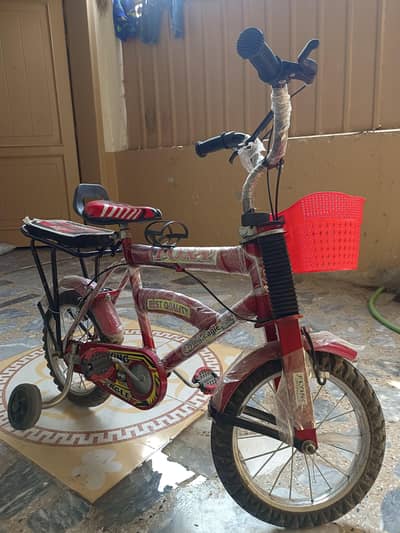 A Beautiful Kids Bicycle Is Up for the Sale