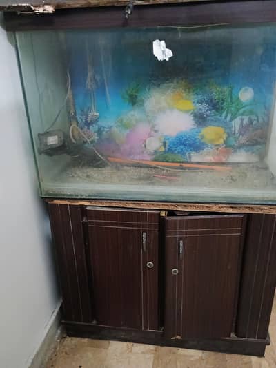 used aquarium