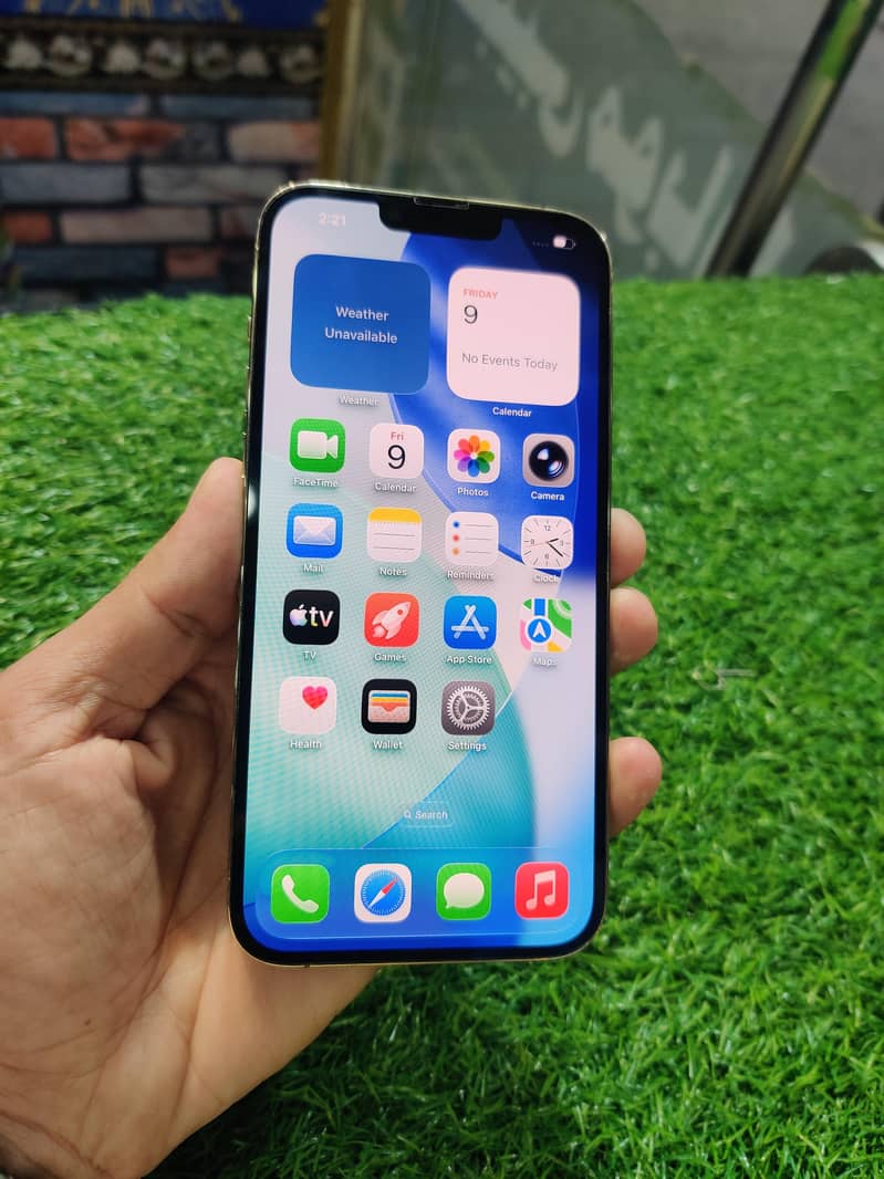Apple iPhone 13 Pro Max 2