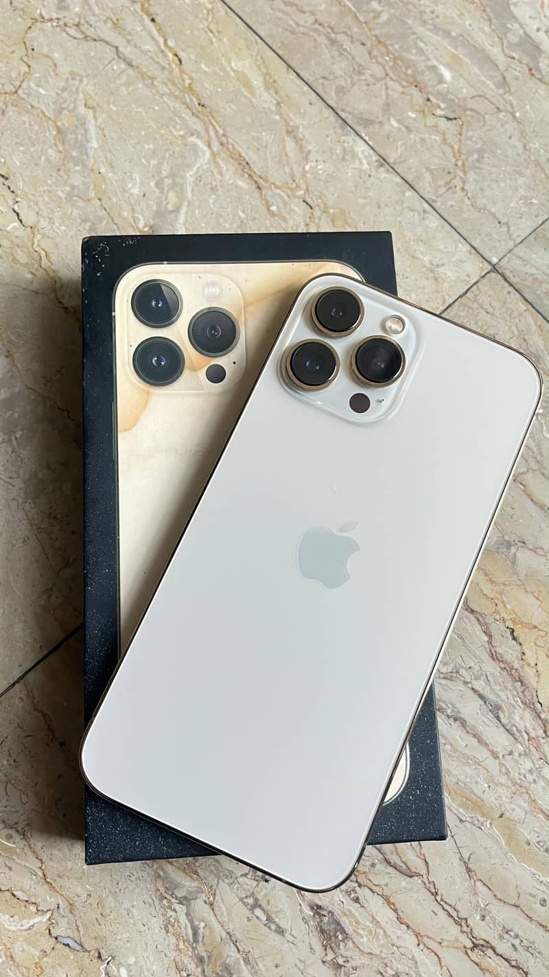 Apple iPhone 13 Pro Max 1