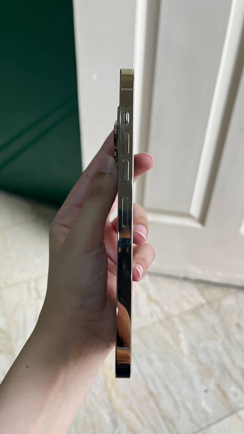 Apple iPhone 13 Pro Max 2