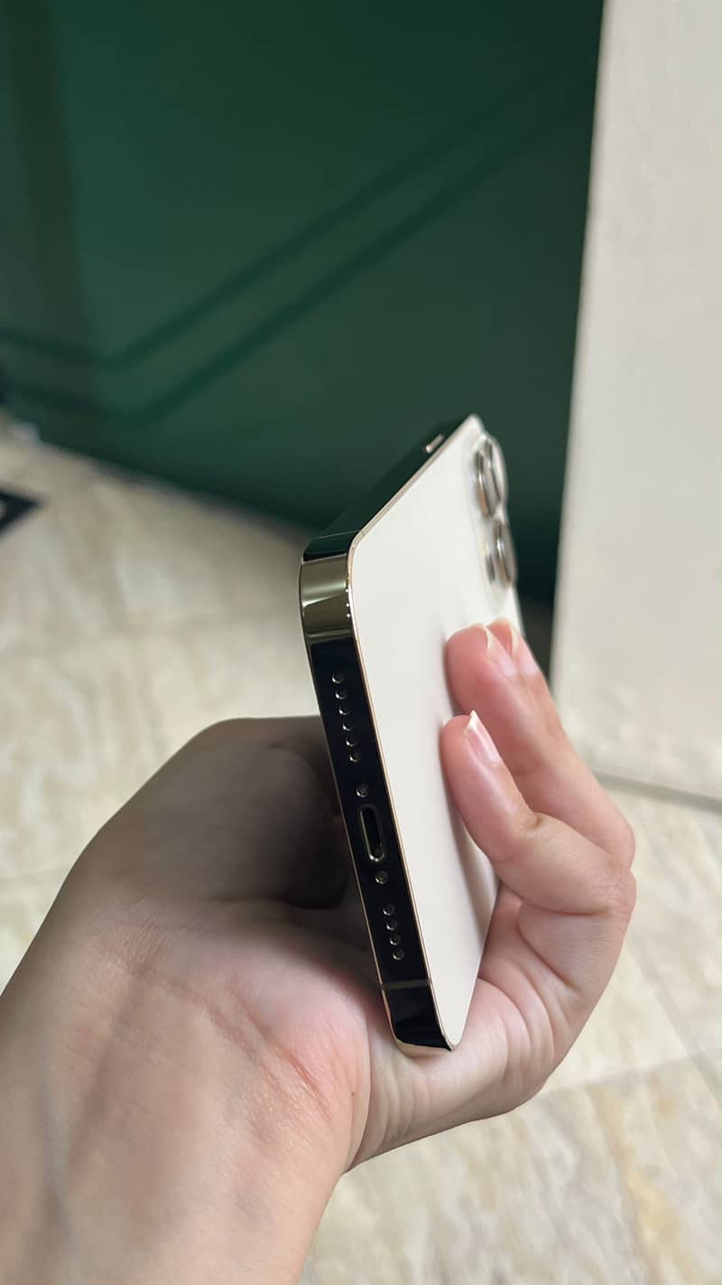 Apple iPhone 13 Pro Max 5
