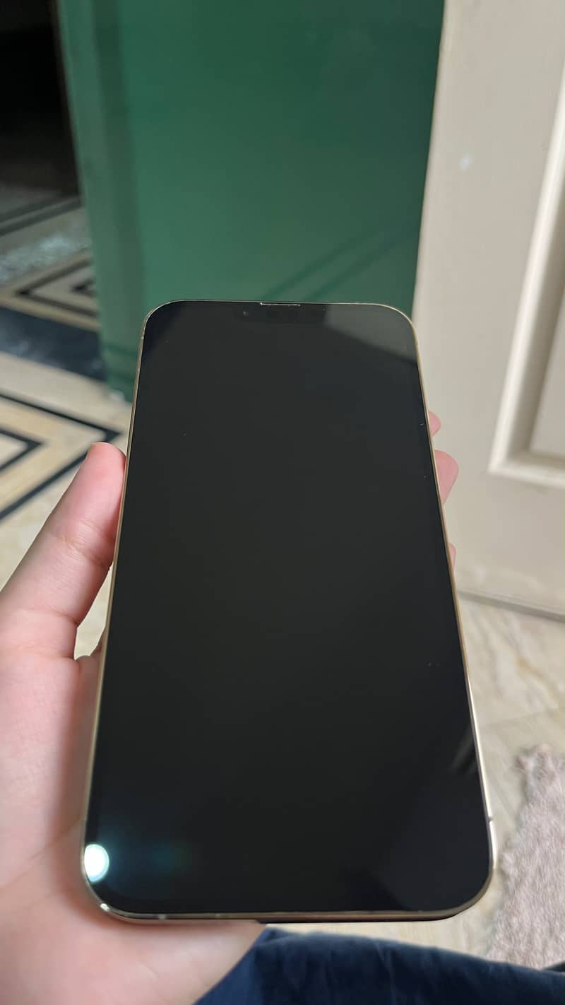 Apple iPhone 13 Pro Max 6