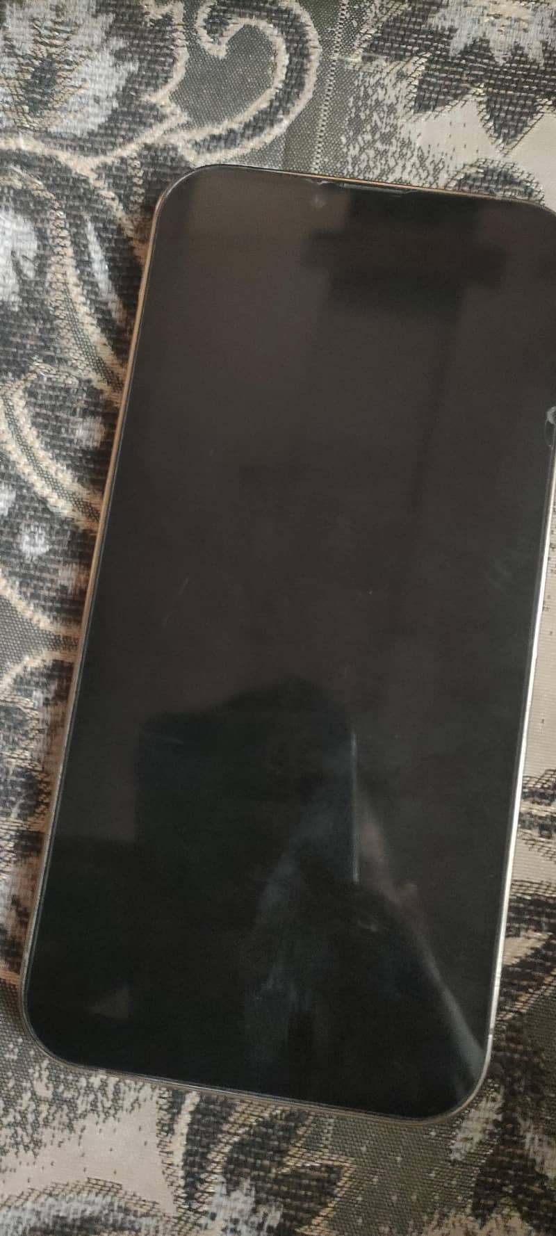 Apple iPhone 13 Pro Max 1