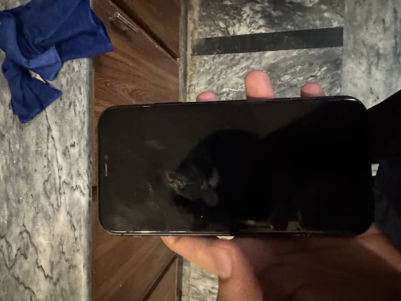 Apple iPhone 11 3