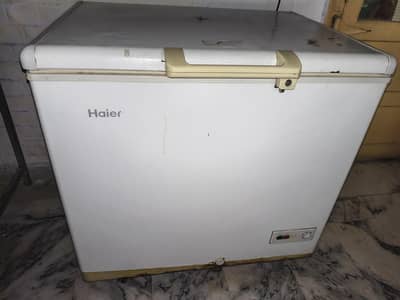 Haier Chest Deep Freezer
