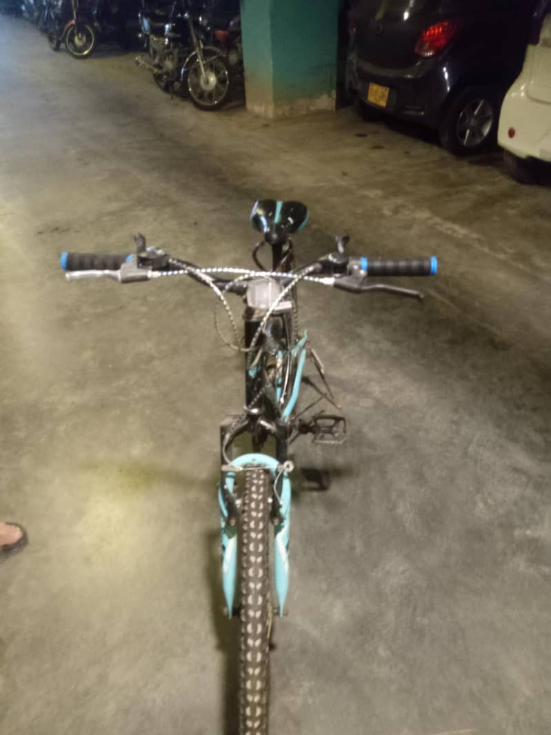 Bicycle Imported 0