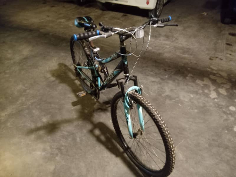 Bicycle Imported 1