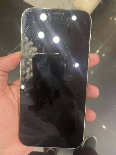 Iphone 12 Pro Max pta approved
