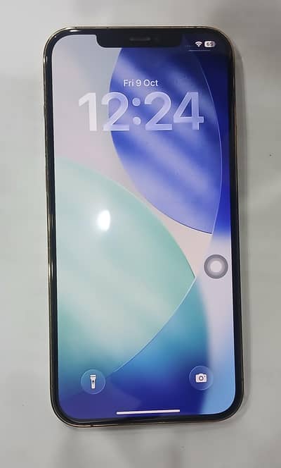 Apple iPhone 12 Pro Max