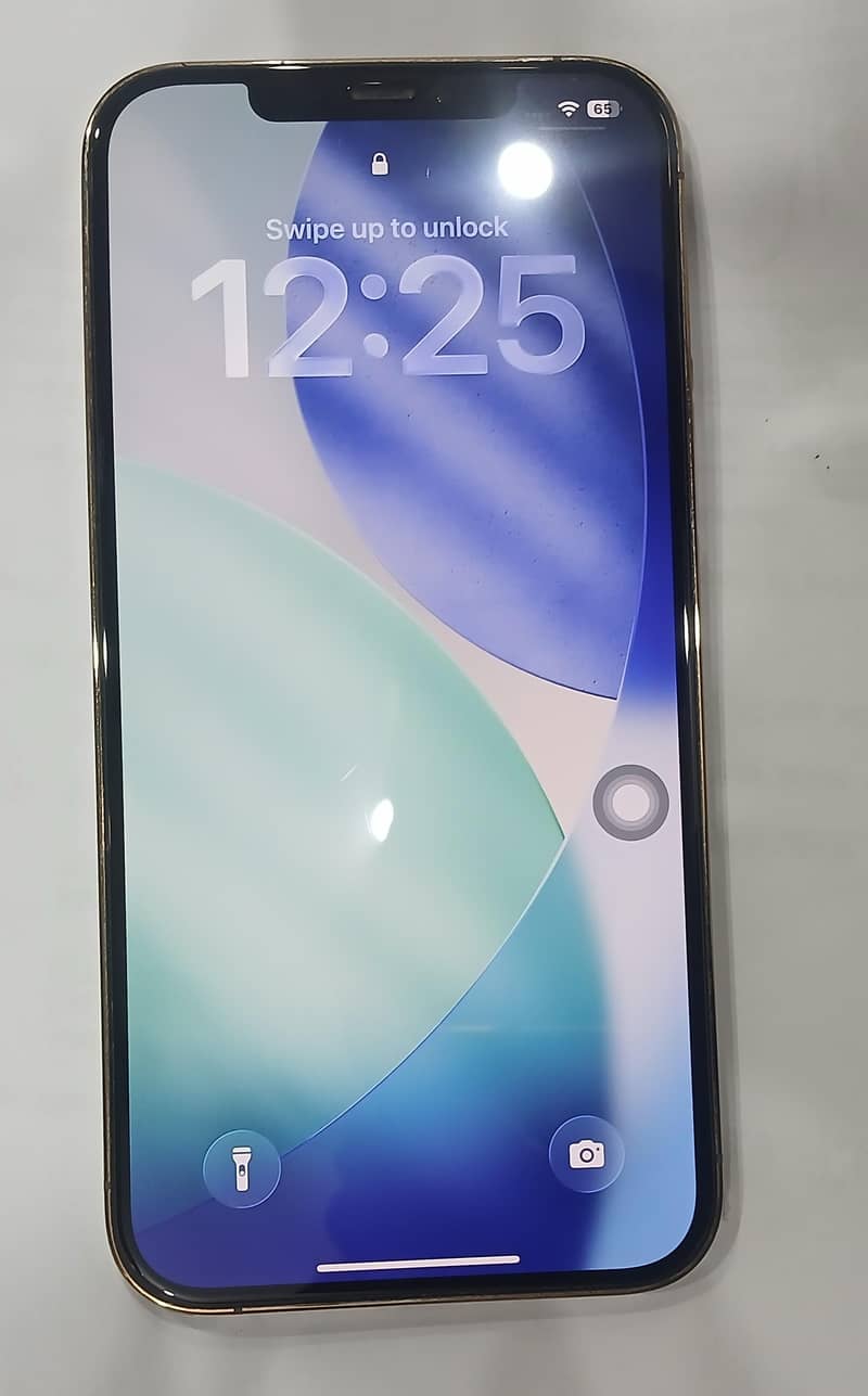 Apple iPhone 12 Pro Max 1