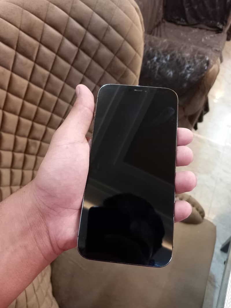 Apple iPhone 12 Pro Max 5