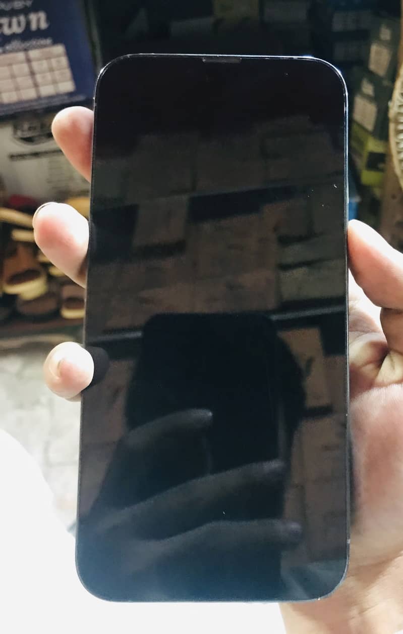 Apple iPhone 13 Pro Max 1