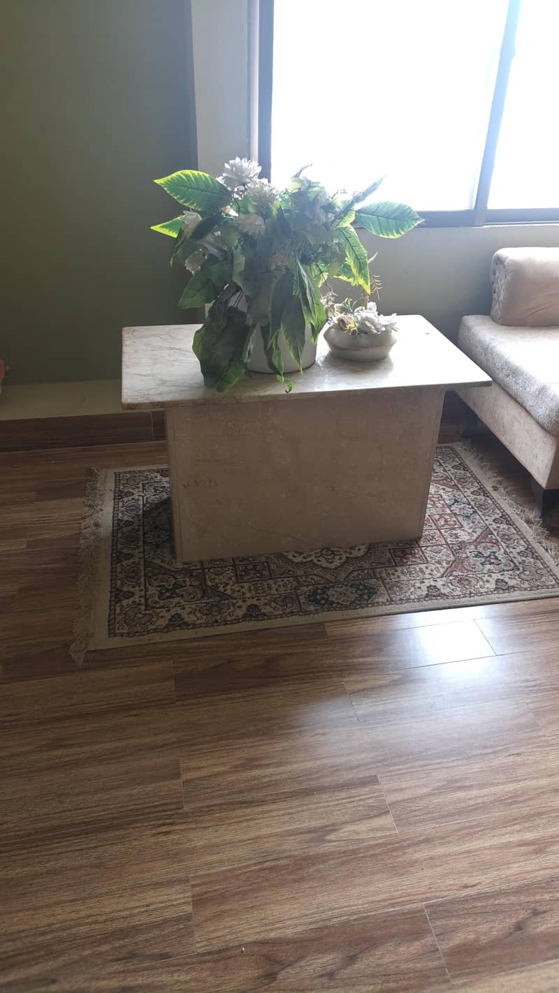 Sofa Set with full Marble Table 3