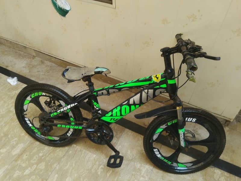 spots cycle 2