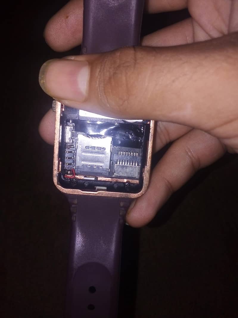 smart berry 1