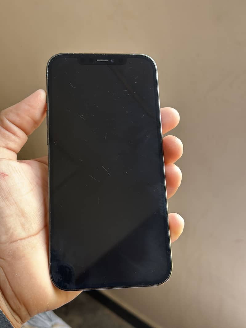 Apple iPhone 12 Pro Max 1