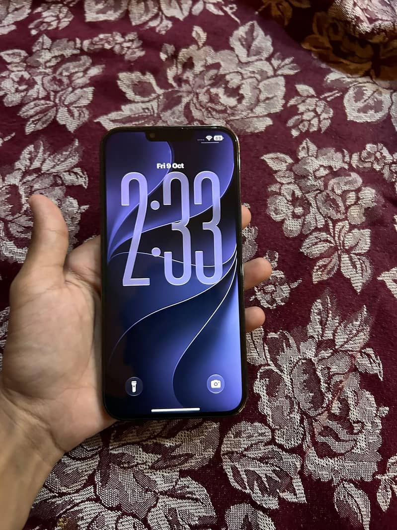 Apple iPhone 13 Pro Max 0