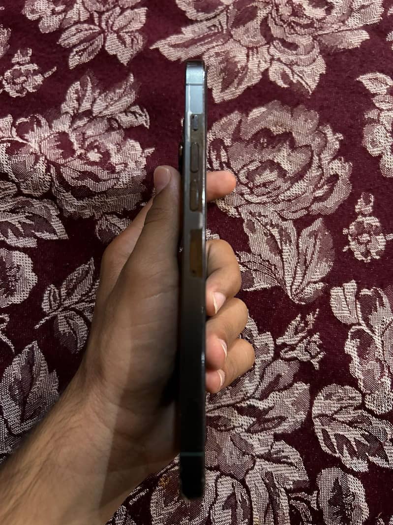 Apple iPhone 13 Pro Max 2