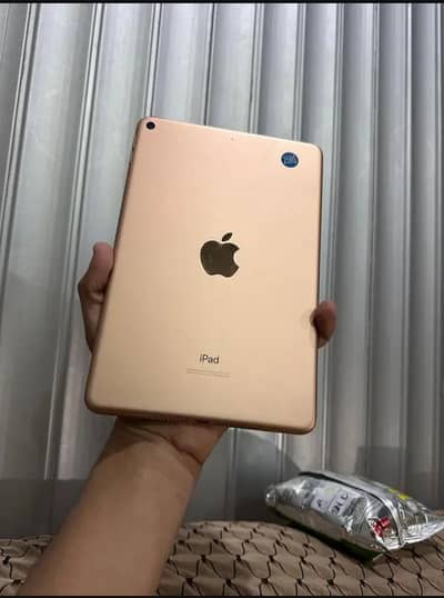 Apple iPad Mini 5 256GB WiFi | 10/10 Condition |