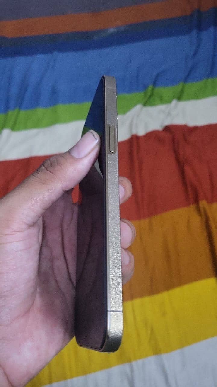 Apple iPhone 12 Pro Max 2