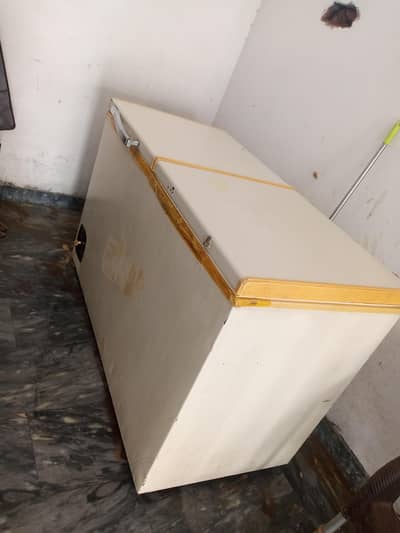 Two door Deep Freezer fine cooling