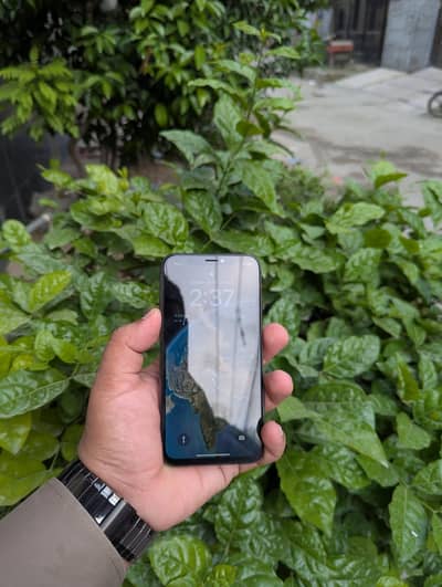 Apple iPhone X