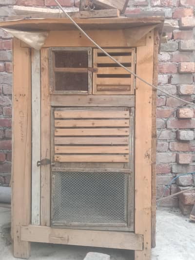 Cage for Aseel chicks 03234424504 Ahmed