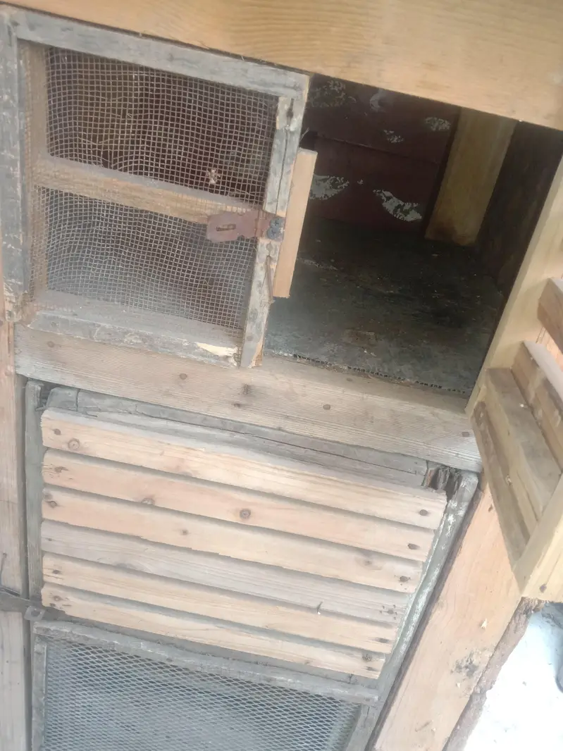 Cage for Aseel chicks 03234424504 Ahmed — photo 2