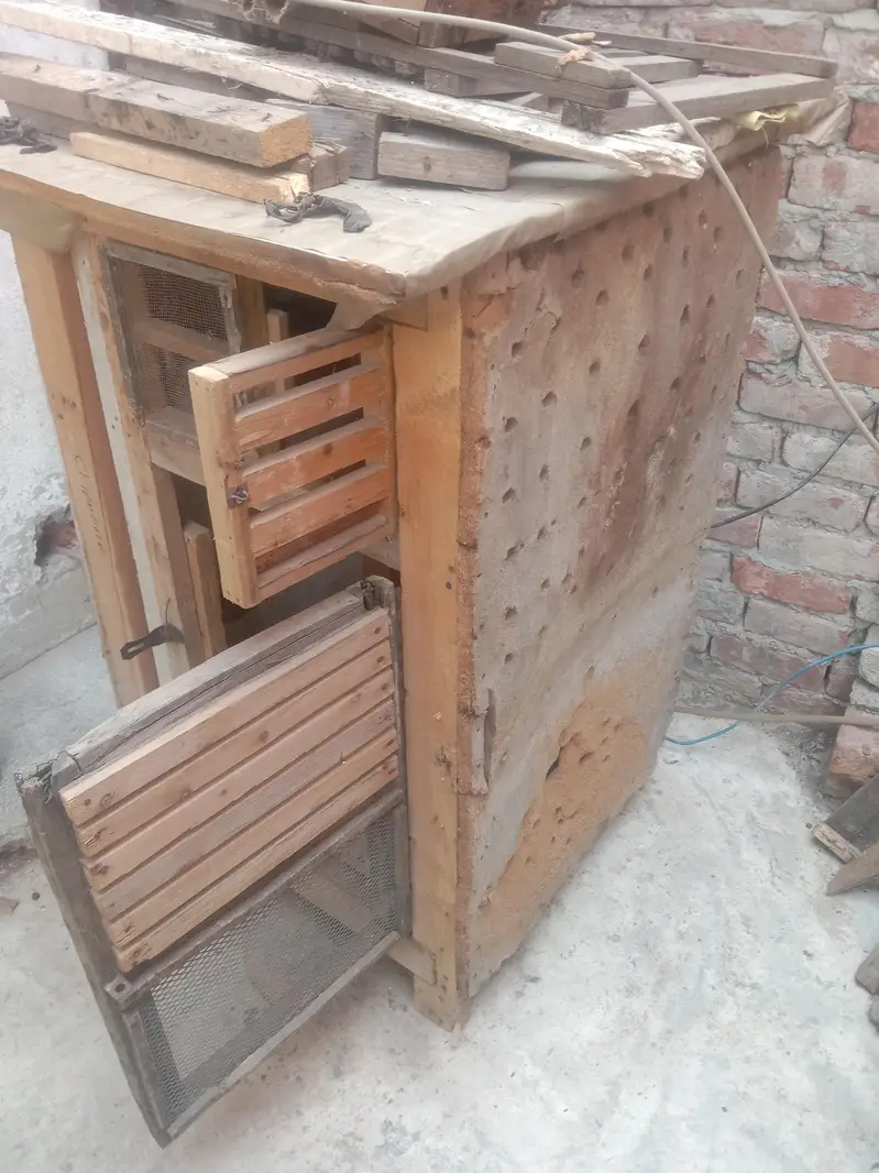 Cage for Aseel chicks 03234424504 Ahmed — photo 3
