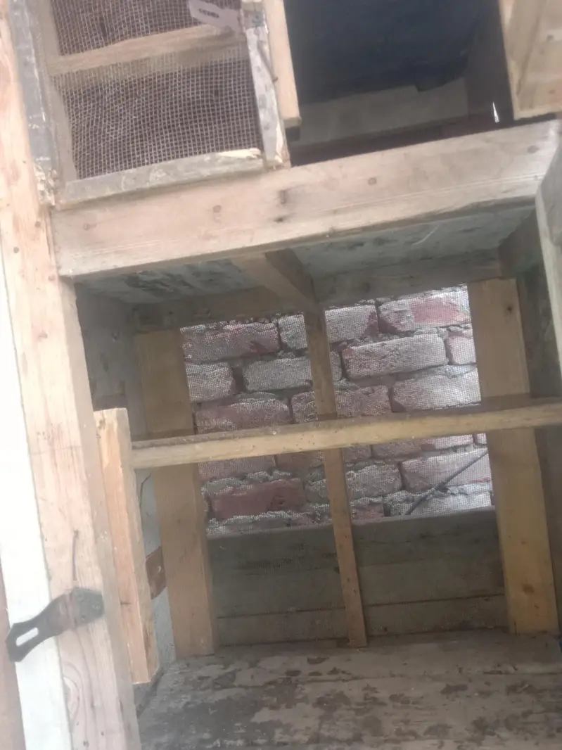 Cage for Aseel chicks 03234424504 Ahmed — photo 4