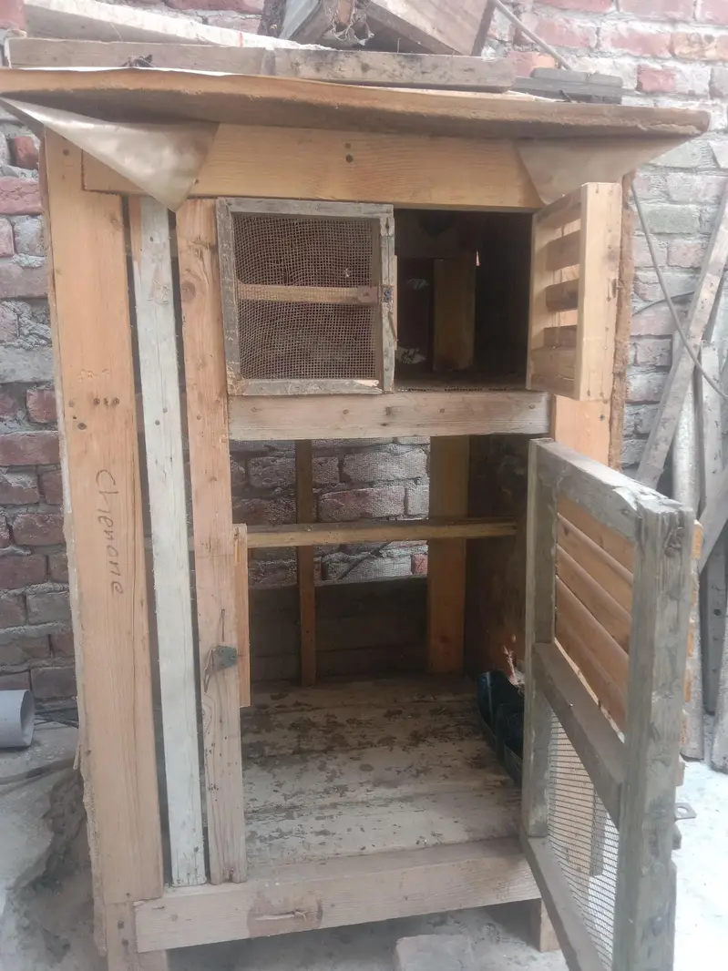 Cage for Aseel chicks 03234424504 Ahmed — photo 7