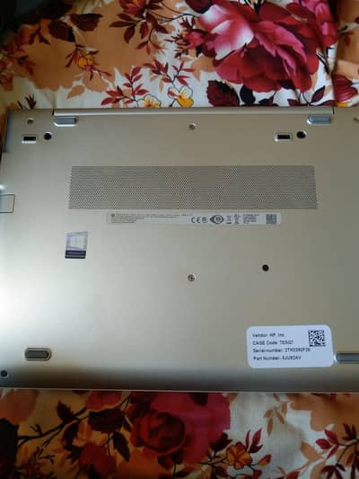 HP Ryzen 5 pro 8/256