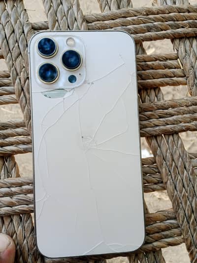 Apple iPhone 13 Pro Max