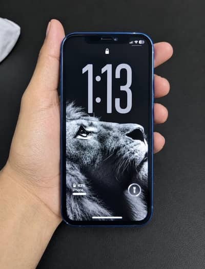 Apple iPhone 12