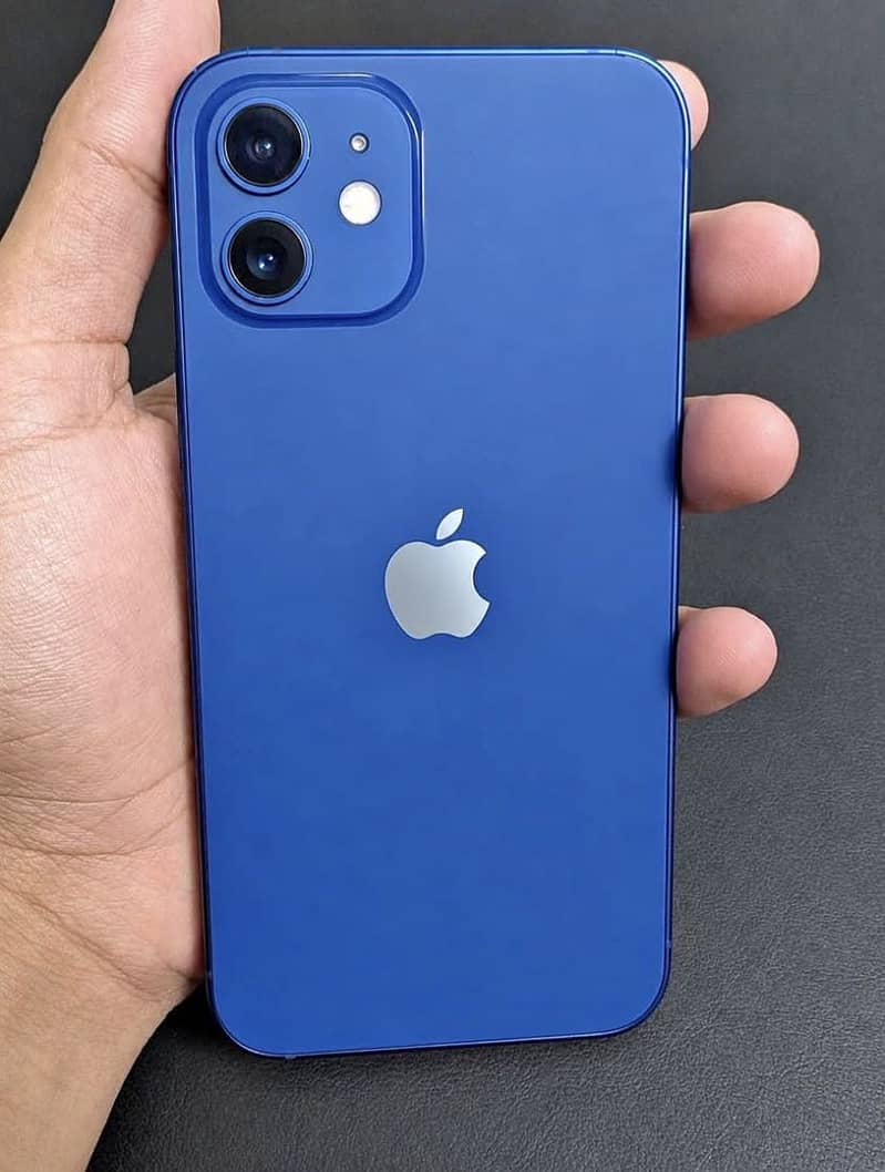 Apple iPhone 12 1