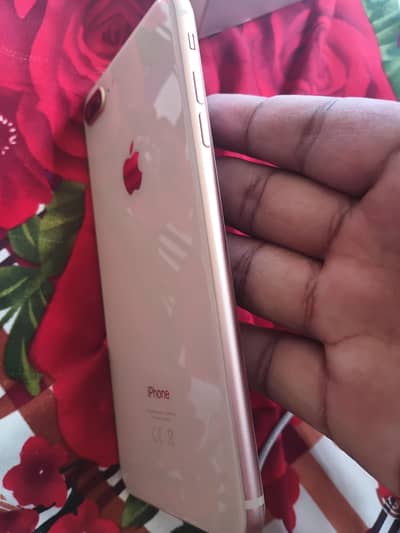 Apple iPhone 8 Plus