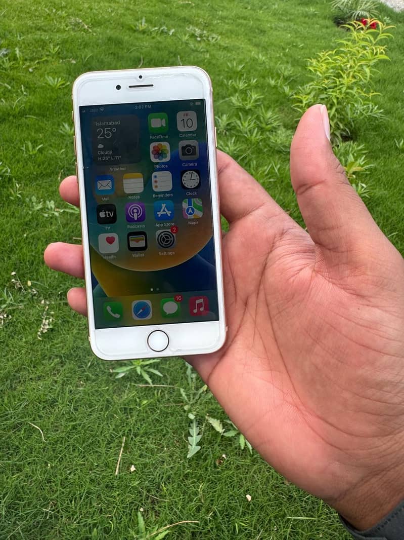 Apple iPhone 8 0